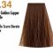 Profesionalna barva NOUVELLE 100ml 6.34