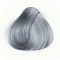 Eslabondexx Toner 60ml Silver Blond