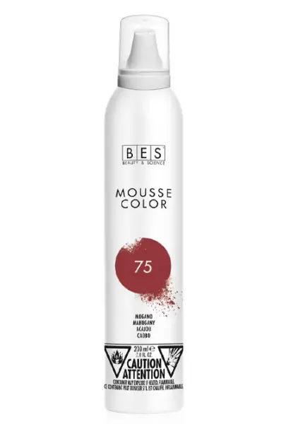 Bes barvna pena BES 200ml   75 MAHAGONIJ