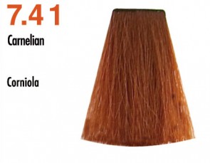 Profesionalna barva NOUVELLE 100ml 7.41